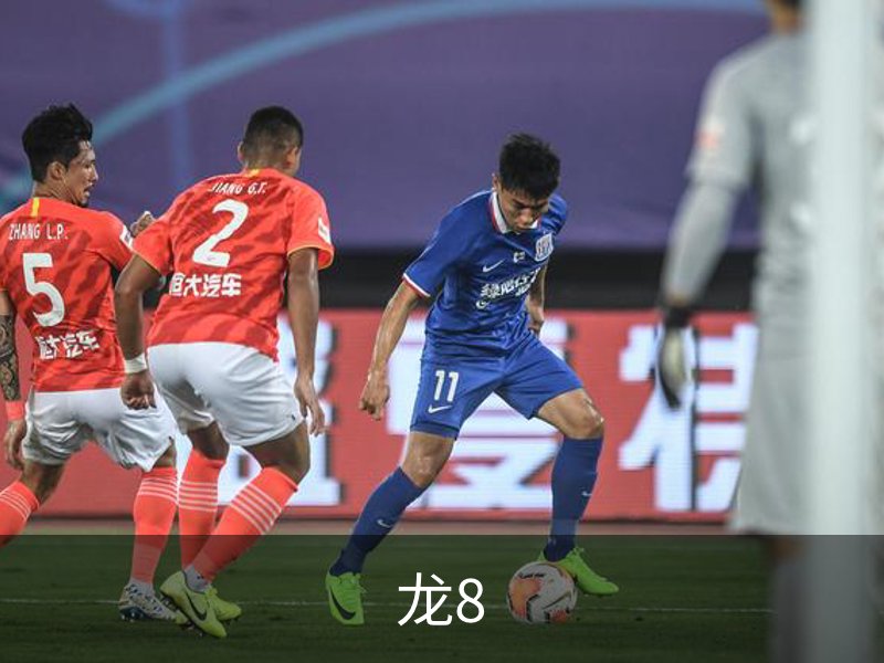 了解龙8